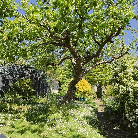 Two Bedroom House With Beautiful Garden Casa vacanze *