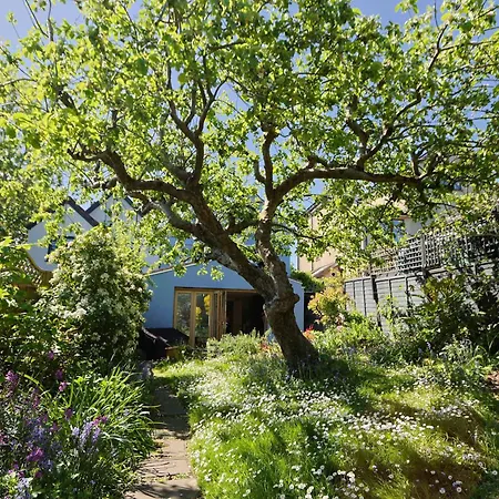 Two Bedroom House With Beautiful Garden Bristol